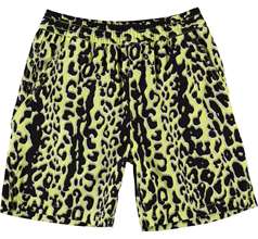 Acton Shorts